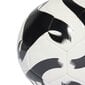 Futbolo kamuolys Adidas Tiro Club Ball HT2430 цена и информация | Futbolo kamuoliai | pigu.lt