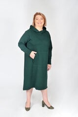 Платье для женщин, зелёное цена и информация | Платья | pigu.lt