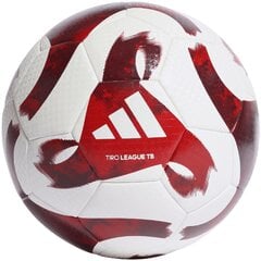 Взрослые кроссовки для футзала Adidas  Predator Edge.4 Унисекс Разноцветный цена и информация | Футбольные мячи | pigu.lt