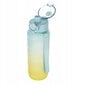 Vandens butelis Starpak Ombre, 750 ml kaina ir informacija | Gertuvės | pigu.lt