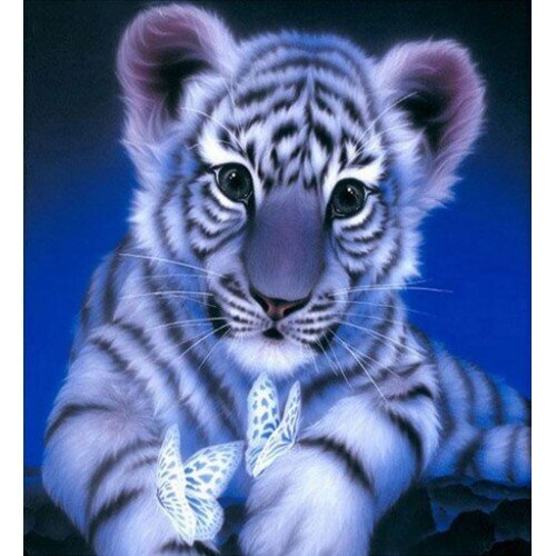 Deimantinė mozaika su rėmu 20x30 Tigras kaina ir informacija | Deimantinės mozaikos | pigu.lt