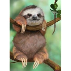 Deimantinė mozaika su rėmu 20x30 Sloth kaina ir informacija | Deimantinės mozaikos | pigu.lt