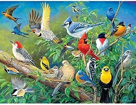 Deimantinė mozaika su rėmu 20x30 Rojaus paukščiai kaina ir informacija | Deimantinės mozaikos | pigu.lt