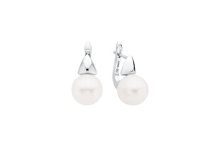 Sidabriniai auskarai su perlais Stella Jewelry kaina ir informacija | Auskarai | pigu.lt