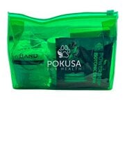 Pokusa First Aid Kit - аптечка для собаки, для совместных поездок и путешествий. цена и информация | Витамины, добавки, средства от паразитов для собак | pigu.lt