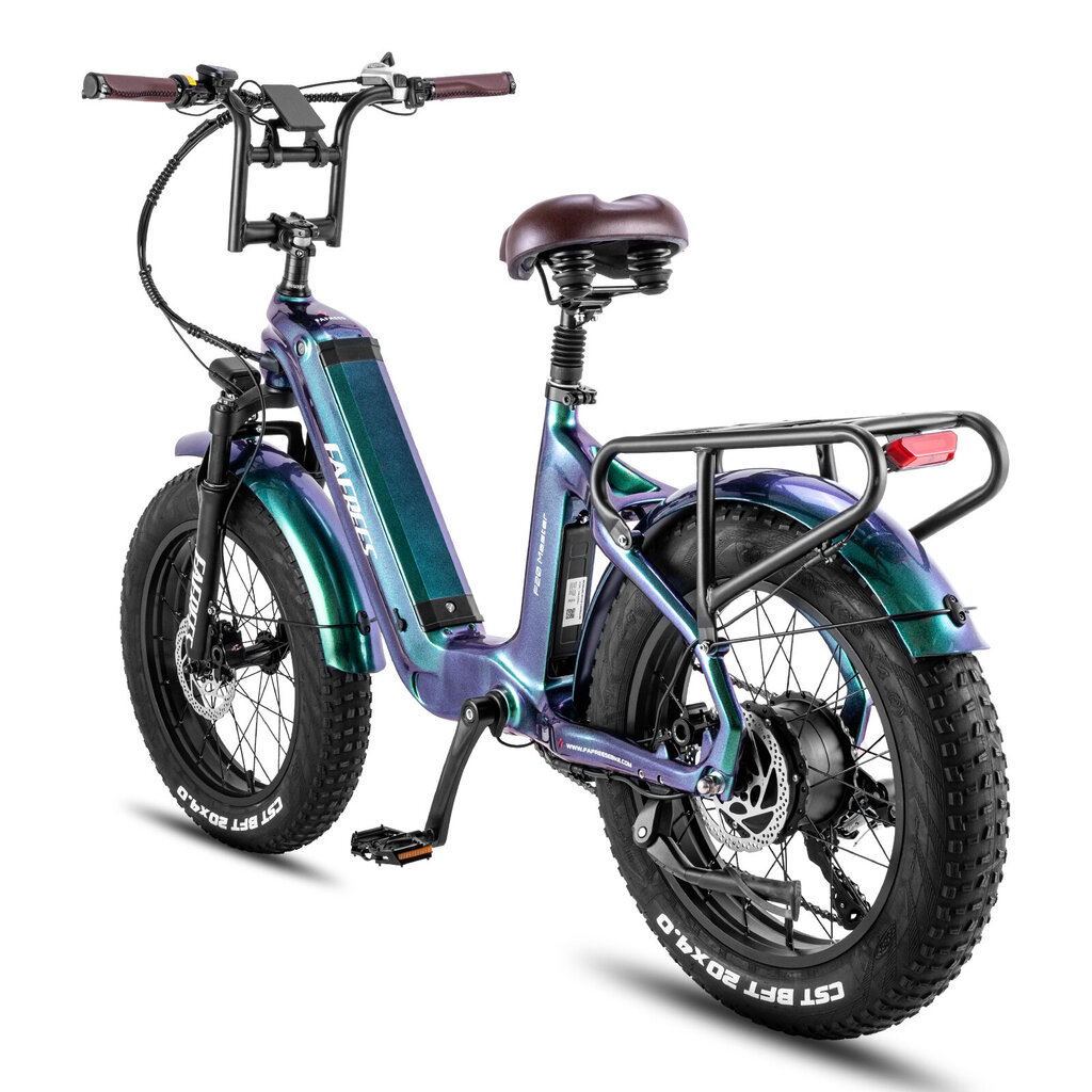 Elektrinis dviratis Fafrees F20 Master, 20", žalias kaina ir informacija | Elektriniai dviračiai | pigu.lt