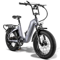 Электровелосипед Carbon Fafrees F20 Master, 20", серый, 500Вт, 22,5Ач цена и информация | Электровелосипеды | pigu.lt