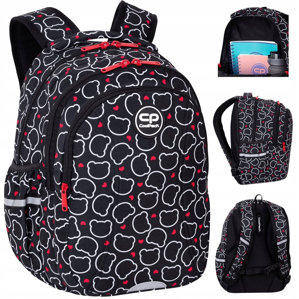 Mokyklinė kuprinė CoolPack Bear F048709, 21 l, 39x28x17 cm kaina ir informacija | Kuprinės mokyklai, sportiniai maišeliai | pigu.lt