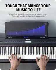 Elektrinis pianinas Donner DEP-20 Digital Piano 88 Key kaina ir informacija | Klavišiniai muzikos instrumentai | pigu.lt