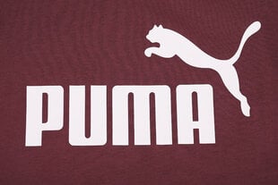 Marškinėliai moterims Puma ESS Logo Tee 586775 30, rudi цена и информация | Футболка Мы здесь | pigu.lt