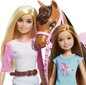 Lėlės rinkinys su žirgu Barbie Dolls and Horse, GXD65 kaina ir informacija | Žaislai mergaitėms | pigu.lt