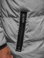 Žieminė pilka striukė Seter kaina ir informacija | Vyriškos striukės | pigu.lt