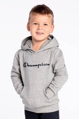 Детская толстовка Champion 305358-EM006-XXL цена и информация | Свитеры, жилетки, пиджаки для мальчиков | pigu.lt