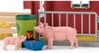 Ferma su gyvūnais Schleich Farm World 42606 цена и информация | Žaislai berniukams | pigu.lt