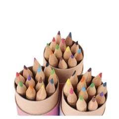 Kalėdiniai spalvoti pieštukai, 12 vnt. kaina ir informacija | Rašymo priemonės | pigu.lt