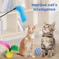 Kačių žaislų rinkinys Mcnory, 28 vnt. цена и информация | Žaislai katėms | pigu.lt