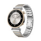 Huawei Watch GT 4 Silver Stainless Steel цена и информация | Išmanieji laikrodžiai (smartwatch) | pigu.lt
