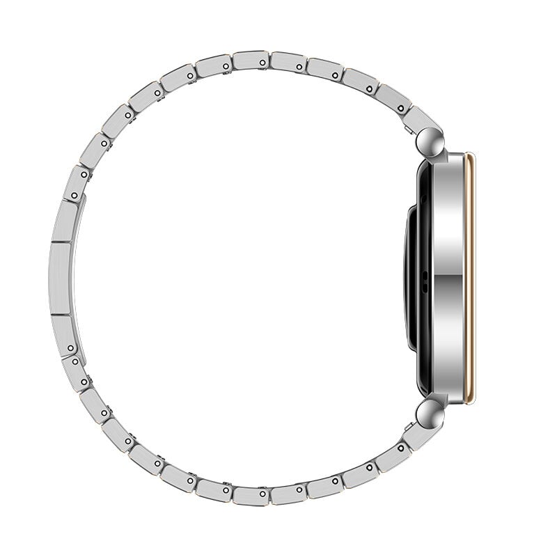 Huawei Watch GT 4 Silver Stainless Steel цена и информация | Išmanieji laikrodžiai (smartwatch) | pigu.lt