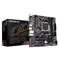 Gigabyte B650M DS2H цена и информация | Материнские платы | pigu.lt