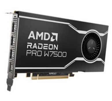 AMD Radeon Pro W7500 kaina ir informacija | Vaizdo plokštės (GPU) | pigu.lt