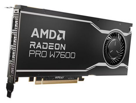 AMD Radeon Pro W7600 (100-300000077) kaina ir informacija | Vaizdo plokštės (GPU) | pigu.lt