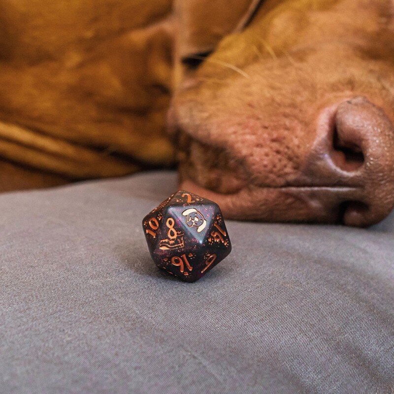 Kauliukų rinkinys Luna Q-Workshop Dogs Dice Set, EN цена и информация | Stalo žaidimai, galvosūkiai | pigu.lt