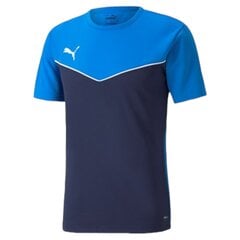 Marškinėliai vyrams Puma 81862, mėlyni kaina ir informacija | Vyriški marškinėliai | pigu.lt