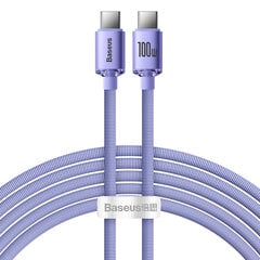 Laido laidas greitam įkrovimui ir duomenų perdavimui USB-C USB-C 100W 2m violetinė 10183821 цена и информация | Кабели для телефонов | pigu.lt