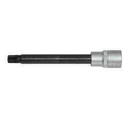 Generatorių remontui antgalis galvutė Spline M10 1/2" Force, 1 vnt. kaina ir informacija | Auto reikmenys | pigu.lt