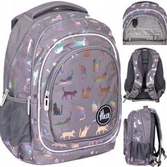 Mokyklinė kuprinė Hash AB330 Holo Ultraviolet Cats 502022130, 20 l цена и информация | Школьные рюкзаки, спортивные сумки | pigu.lt