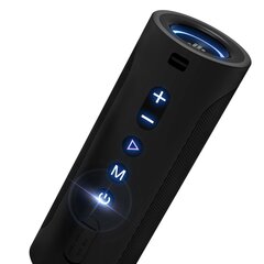 Belaidis Bluetooth garsiakalbis T6 Pro 45W + LED juodas 10165531 kaina ir informacija | Garso kolonėlės | pigu.lt