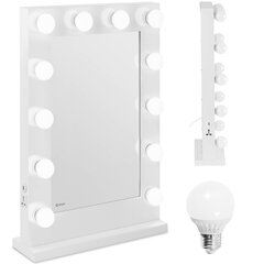Kosmetinis makiažo veidrodis su 12 USB LED lempučių, 78x50 cm 10130421 kaina ir informacija | Veidrodžiai | pigu.lt