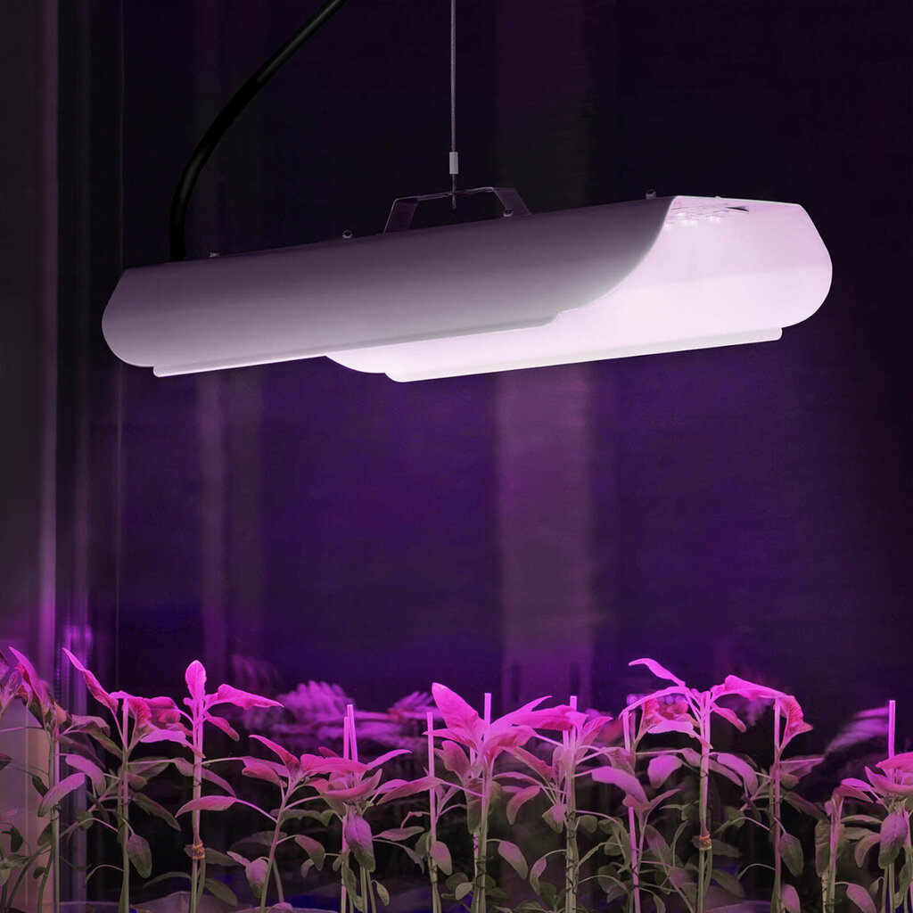 Hillvert LED kaina ir informacija | Daigyklos, lempos augalams | pigu.lt