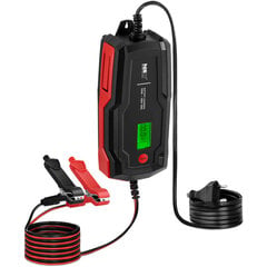 Automobilinis įkroviklis MSW 10A 12 V цена и информация | Зарядные устройства для аккумуляторов | pigu.lt