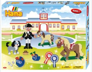 Цветная термомозаика мозаика Hama 3151 цена и информация | Развивающие игрушки | pigu.lt