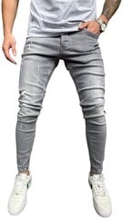 Джинсы для мужчин 2Y Premium B8456/K500, серые цена и информация | Мужские джинсы | pigu.lt