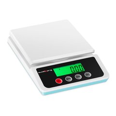 Tikslios ir tikslios laboratorinės svarstyklės su vienetų skaičiavimo funkcija 10kg / 1g 10097141 цена и информация | Механические инструменты | pigu.lt