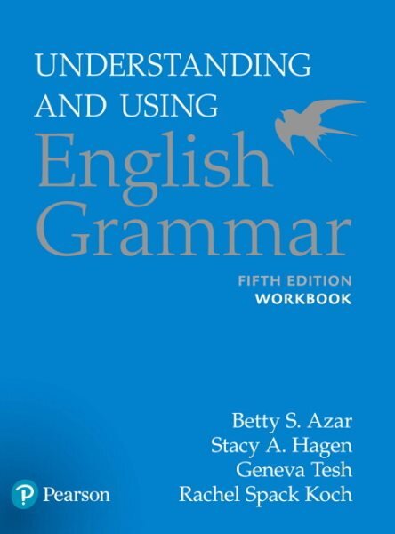 Understanding and Using English Grammar, Workbook 5th edition kaina ir informacija | Užsienio kalbos mokomoji medžiaga | pigu.lt