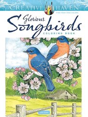 Creative Haven Glorious Songbirds Coloring Book цена и информация | Книги для малышей | pigu.lt