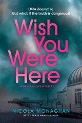 Wish You Were Here цена и информация | Fantastinės, mistinės knygos | pigu.lt