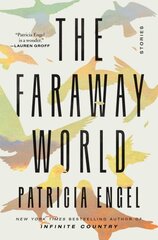 Faraway World: Stories цена и информация | Fantastinės, mistinės knygos | pigu.lt