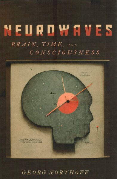 Neurowaves: Brain, Time, and Consciousness цена и информация | Istorinės knygos | pigu.lt