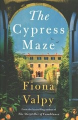 Cypress Maze kaina ir informacija | Fantastinės, mistinės knygos | pigu.lt
