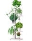 Gėlių stovas Forrestdecor Ficus 43x22x98cm, baltas kaina ir informacija | Lentynos | pigu.lt