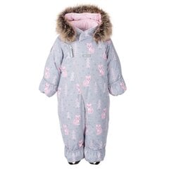 Комбинезон для малышей Lenne Derry 250 г 23305*3700 4741593413971, серый/розовый  цена и информация | Пальто, куртки для малышей | pigu.lt