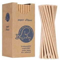 PaperStraws šiaudelių rinkinys, 250 vnt. цена и информация | Кухонная утварь | pigu.lt
