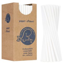 PaperStraws šiaudelių rinkinys, 250 vnt. цена и информация | Кухонная утварь | pigu.lt