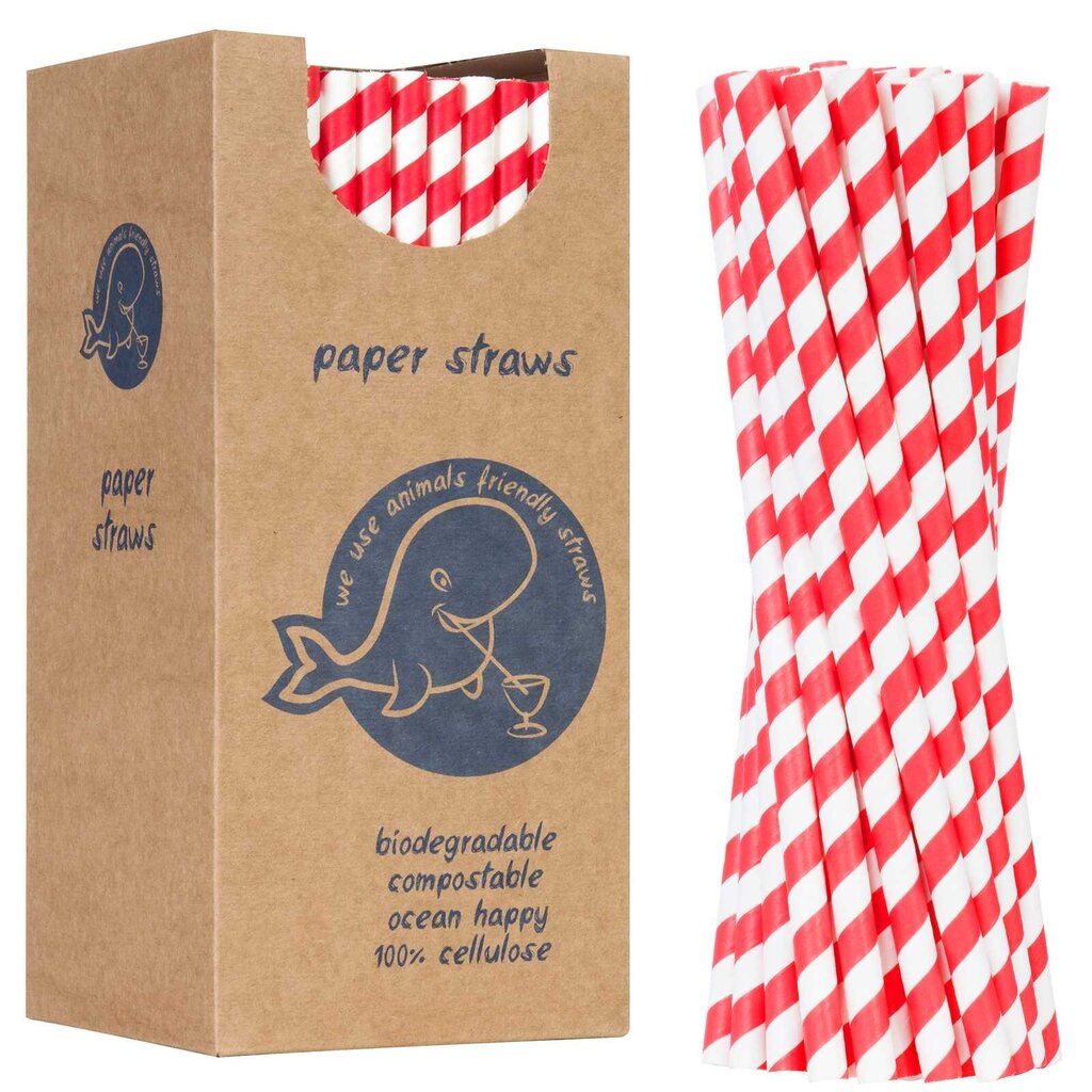 PaperStraws šiaudelių rinkinys, 250 vnt. цена и информация | Virtuvės įrankiai | pigu.lt