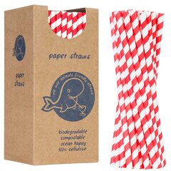 PaperStraws šiaudelių rinkinys, 160 vnt. цена и информация | Кухонная утварь | pigu.lt