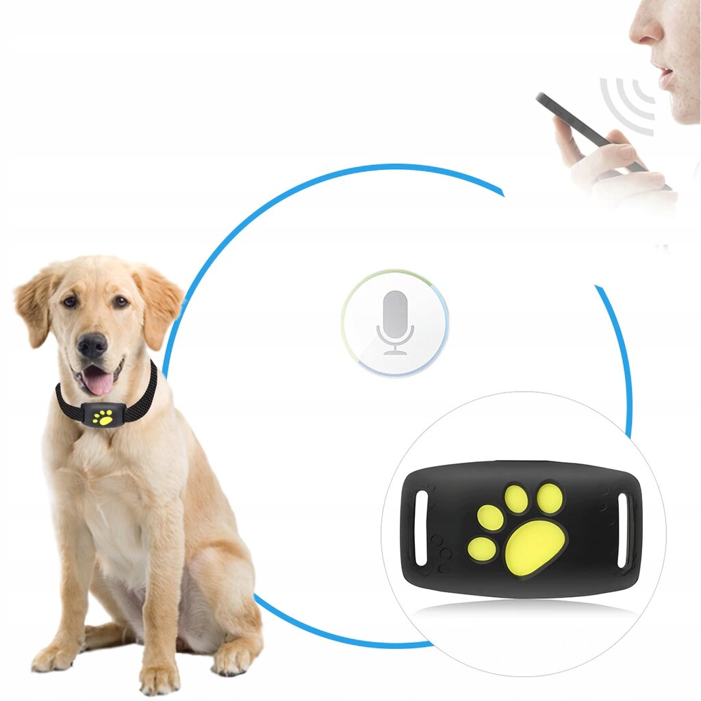 GPS antkaklis šuniui цена и информация | Antkakliai, petnešos šunims | pigu.lt